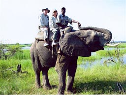 Guy and Vee Davis riding an elephant.