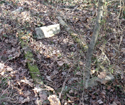 Volunteers located the overgrown cemetery plot containing the grave of Mrs. Pearl E. Williams.