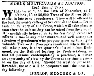 Ad in Richmond Enquirer, 6 November 1838, showing Norton raised other plants and trees.