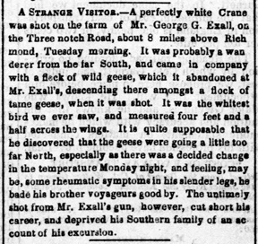 July 14 1853 news account by Rev. Exall.