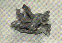 Small tin item that is an inch and half long and an inch wide - answer of what this object may be posted in our next newsletter.