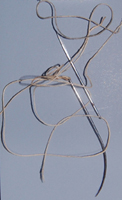Suturing silk and needles.