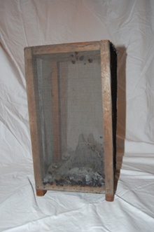 Wood and screen fly trap.