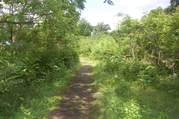 Riverside Path.