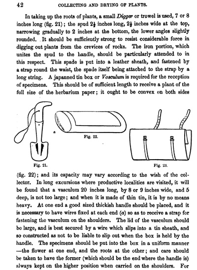 The Botanical Companion 1860.