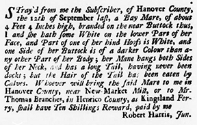 Notice of lost mare, 1738.