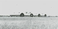 Curles Neck barns, circa 1930, in Varina District, Henrico County, Virginia.